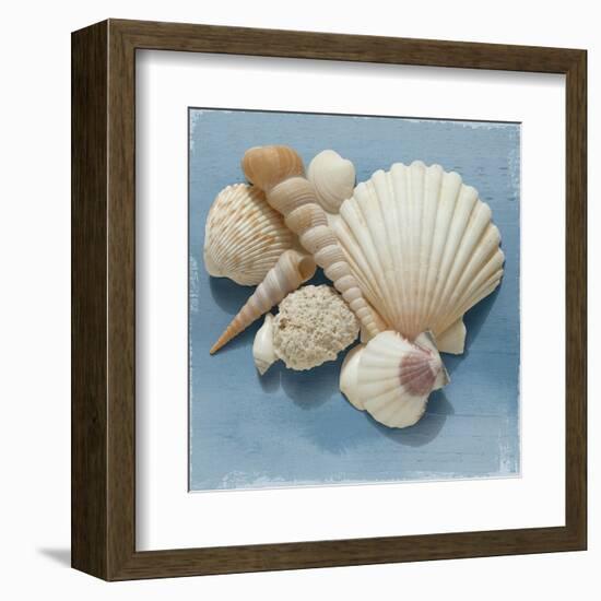 Shell Collection IV-Bill Philip-Framed Art Print