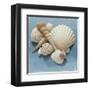 Shell Collection IV-Bill Philip-Framed Art Print
