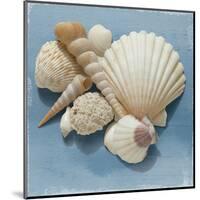 Shell Collection IV-Bill Philip-Mounted Art Print