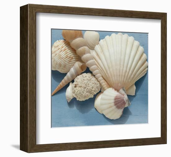 Shell Collection IV-Bill Philip-Framed Giclee Print