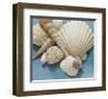 Shell Collection IV-Bill Philip-Framed Giclee Print