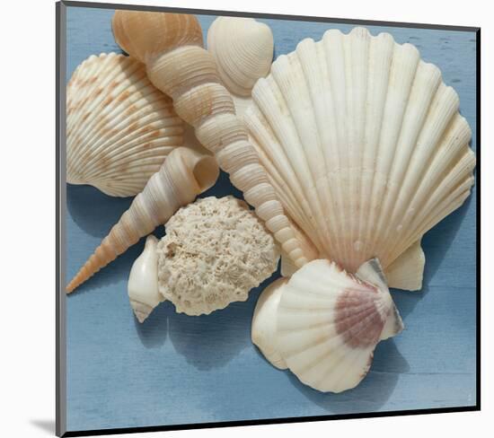 Shell Collection IV-Bill Philip-Mounted Giclee Print