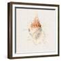 Shell Collector III-Katie Pertiet-Framed Art Print