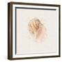 Shell Collector V-Katie Pertiet-Framed Art Print