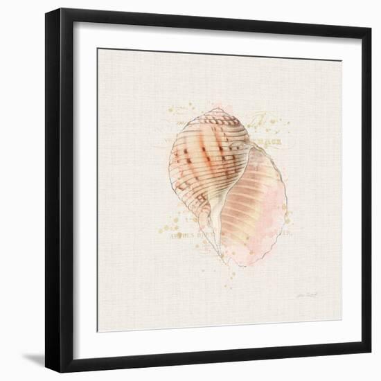 Shell Collector V-Katie Pertiet-Framed Art Print