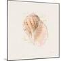 Shell Collector V-Katie Pertiet-Mounted Art Print