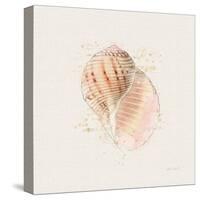 Shell Collector V-Katie Pertiet-Stretched Canvas