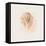 Shell Collector V-Katie Pertiet-Framed Stretched Canvas