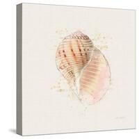 Shell Collector V-Katie Pertiet-Stretched Canvas