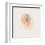 Shell Collector V-Katie Pertiet-Framed Art Print