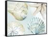 Shell Collectors-Patricia Pinto-Framed Stretched Canvas