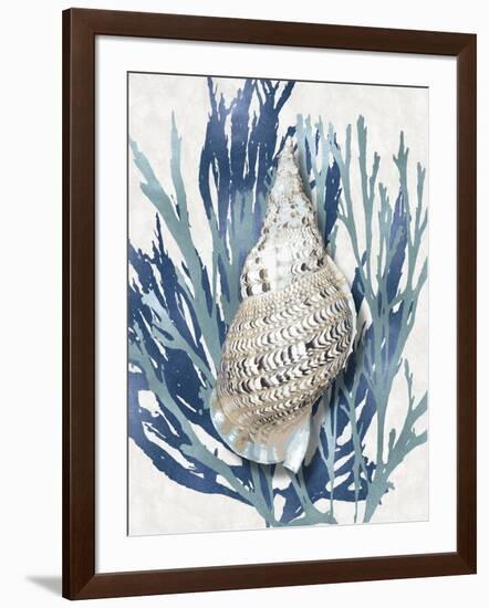 Shell Coral Aqua Blue I-Caroline Kelly-Framed Art Print