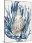 Shell Coral Aqua Blue I-Caroline Kelly-Mounted Art Print