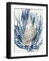 Shell Coral Aqua Blue I-Caroline Kelly-Framed Art Print