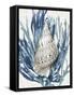 Shell Coral Aqua Blue I-Caroline Kelly-Framed Stretched Canvas