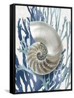 Shell Coral Aqua Blue II-Caroline Kelly-Framed Stretched Canvas