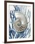 Shell Coral Aqua Blue II-Caroline Kelly-Framed Art Print