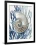 Shell Coral Aqua Blue II-Caroline Kelly-Framed Art Print