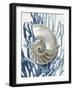 Shell Coral Aqua Blue II-Caroline Kelly-Framed Art Print