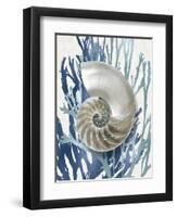 Shell Coral Aqua Blue II-Caroline Kelly-Framed Art Print