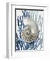 Shell Coral Aqua Blue II-Caroline Kelly-Framed Art Print