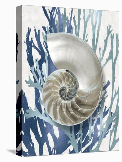 Shell Coral Aqua Blue II-Caroline Kelly-Stretched Canvas
