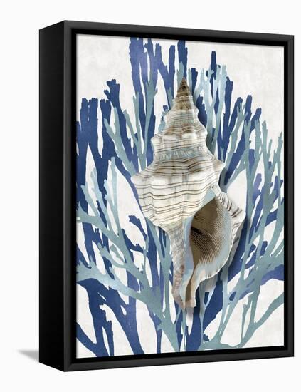 Shell Coral Aqua Blue III-Caroline Kelly-Framed Stretched Canvas