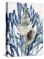 Shell Coral Aqua Blue III-Caroline Kelly-Stretched Canvas