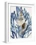 Shell Coral Aqua Blue III-Caroline Kelly-Framed Art Print