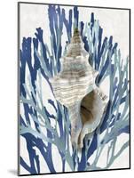 Shell Coral Aqua Blue III-Caroline Kelly-Mounted Art Print