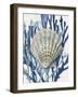 Shell Coral Aqua Blue IV-Caroline Kelly-Framed Art Print