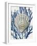 Shell Coral Aqua Blue IV-Caroline Kelly-Framed Art Print