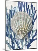 Shell Coral Aqua Blue IV-Caroline Kelly-Mounted Art Print