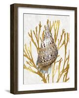 Shell Coral Gold I-Caroline Kelly-Framed Art Print