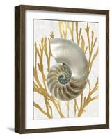 Shell Coral Gold II-Caroline Kelly-Framed Art Print