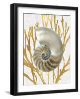 Shell Coral Gold II-Caroline Kelly-Framed Art Print