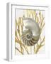 Shell Coral Gold II-Caroline Kelly-Framed Art Print