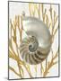 Shell Coral Gold II-Caroline Kelly-Mounted Art Print