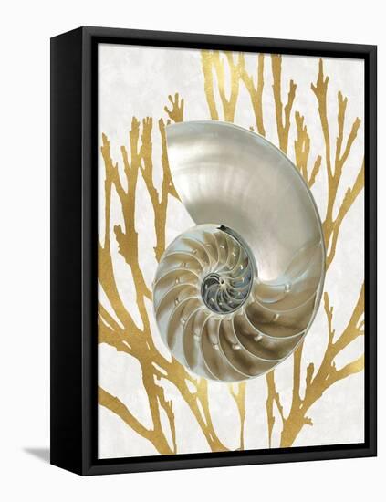 Shell Coral Gold II-Caroline Kelly-Framed Stretched Canvas