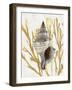 Shell Coral Gold III-Caroline Kelly-Framed Art Print