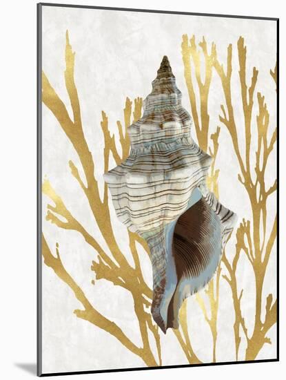 Shell Coral Gold III-Caroline Kelly-Mounted Art Print