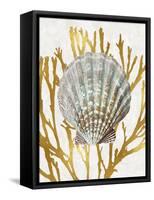 Shell Coral Gold IV-Caroline Kelly-Framed Stretched Canvas