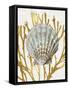 Shell Coral Gold IV-Caroline Kelly-Framed Stretched Canvas