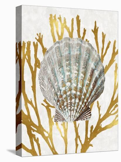 Shell Coral Gold IV-Caroline Kelly-Stretched Canvas