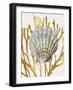 Shell Coral Gold IV-Caroline Kelly-Framed Art Print