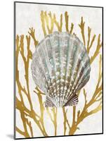 Shell Coral Gold IV-Caroline Kelly-Mounted Art Print
