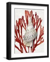 Shell Coral Red I-Caroline Kelly-Framed Art Print