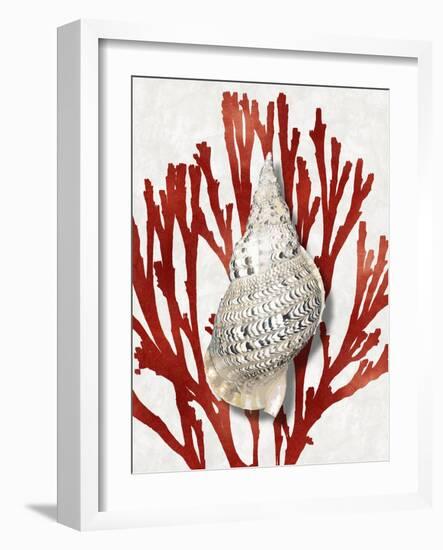 Shell Coral Red I-Caroline Kelly-Framed Art Print