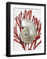 Shell Coral Red II-Caroline Kelly-Framed Art Print