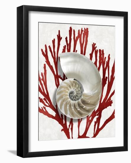 Shell Coral Red II-Caroline Kelly-Framed Art Print